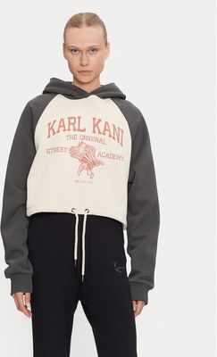 Bluza damska na wiosnę Karl Kani ze sklepu: MODIVO w kategorii: Bluzy damskie - zdjęcie WP-EBWP-BKLVO-LN0_0000304487705