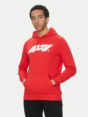 Bluza męska jesienna Puma ze sklepu: MODIVO w kategorii: Bluzy męskie - zdjęcie WP-EBWP-BKLVO-LN0_0000304576614
