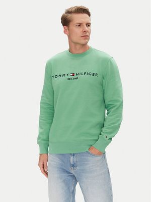 Bluza męska młodzieżowa Tommy Hilfiger ze sklepu: MODIVO w kategorii: Bluzy męskie - zdjęcie WP-EBWP-BKLVO-LN0_0000304650024