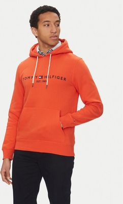 Tommy Hilfiger - Bluza męska młodzieżowa na jesień ze sklepu: MODIVO w kategorii: Bluzy męskie - zdjęcie WP-EBWP-BKLVO-LN0_0000304650055