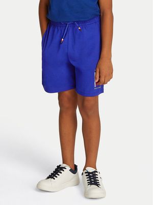 Spodenki chłopięce letnie Tommy Hilfiger ze sklepu: MODIVO w kategorii: Spodenki chłopięce - zdjęcie WP-EBWP-BKLVO-LN0_0000304662737
