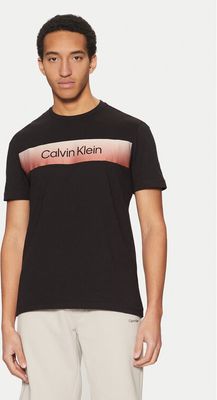 Calvin Klein - T-shirt męski młodzieżowy ze sklepu: MODIVO w kategorii: T-shirty męskie - zdjęcie WP-EBWP-BKLVO-LN0_0000304664830