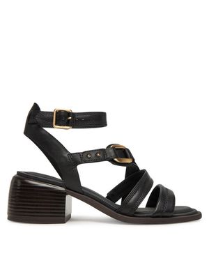 Sandały damskie letnie Clarks ze sklepu: MODIVO w kategorii: Sandały damskie - zdjęcie WP-EBWP-BKLVO-LN0_0000304851872