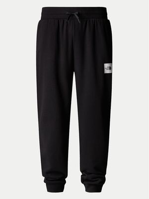 Spodnie męskie sportowe The North Face ze sklepu: MODIVO w kategorii: Spodnie męskie - zdjęcie WP-EBWP-BKLVO-LN0_0000304922794