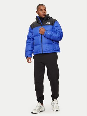 Kurtka męska The North Face ze sklepu: MODIVO w kategorii: Kurtki męskie - zdjęcie WP-EBWP-BKLVO-LN0_0000304944642