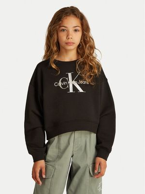Bluza dziewczęca jesienna Calvin Klein Jeans ze sklepu: MODIVO w kategorii: Bluzy dziewczęce - zdjęcie WP-EBWP-BKLVO-LN0_0000305052902