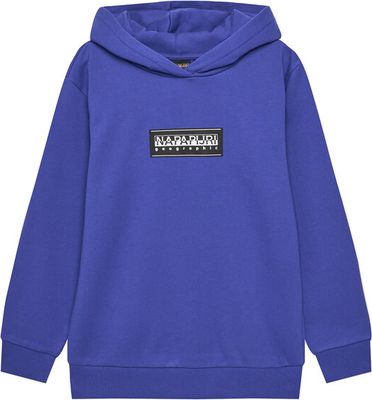 Bluza chłopięca na zimę Napapijri ze sklepu: MODIVO w kategorii: Bluzy chłopięce - zdjęcie WP-EBWP-BKLVO-LN0_0000305124760