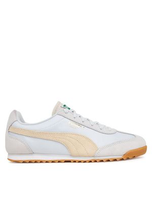 Buty sportowe damskie na wiosnę Puma ze sklepu: MODIVO w kategorii: Buty sportowe damskie - zdjęcie WP-EBWP-BKLVO-LN0_0000305145970