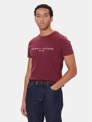 T-shirt męski Tommy Hilfiger ze sklepu: MODIVO w kategorii: T-shirty męskie - zdjęcie WP-EBWP-BKLVO-LN0_0000305345110