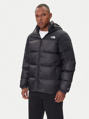 Kurtka męska zimowa The North Face ze sklepu: MODIVO w kategorii: Kurtki męskie - zdjęcie WP-EBWP-BKLVO-LN0_0000305348876
