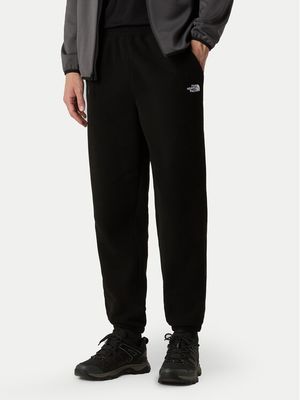 Spodnie męskie w sportowym stylu The North Face ze sklepu: MODIVO w kategorii: Spodnie męskie - zdjęcie WP-EBWP-BKLVO-LN0_0000305349750
