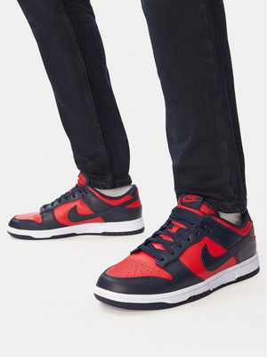 Buty sportowe męskie jesienne Nike ze sklepu: MODIVO w kategorii: Buty sportowe męskie - zdjęcie WP-EBWP-BKLVO-LN0_0000305363664