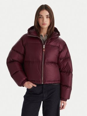 Kurtka damska na jesień Tommy Hilfiger ze sklepu: MODIVO w kategorii: Kurtki damskie - zdjęcie WP-EBWP-BKLVO-LN0_0000305376114
