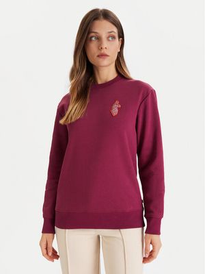 Bluza damska młodzieżowa Cotopaxi ze sklepu: MODIVO w kategorii: Bluzy damskie - zdjęcie WP-EBWP-BKLVO-LN0_0000305531636