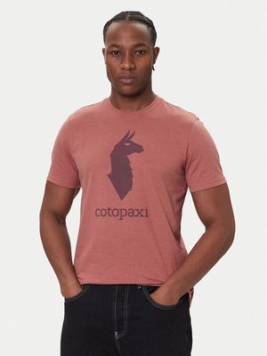 T-shirt męski młodzieżowy Cotopaxi ze sklepu: MODIVO w kategorii: T-shirty męskie - zdjęcie WP-EBWP-BKLVO-LN0_0000305531711
