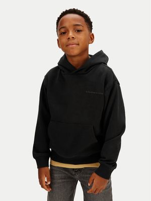 Bluza chłopięca na jesień Calvin Klein Jeans ze sklepu: MODIVO w kategorii: Bluzy chłopięce - zdjęcie WP-EBWP-BKLVO-LN0_0000305560407