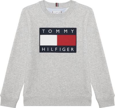 Bluza chłopięca zimowa Tommy Hilfiger ze sklepu: MODIVO w kategorii: Bluzy chłopięce - zdjęcie WP-EBWP-BKLVO-LN0_0000305566072