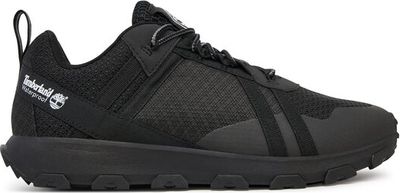 Buty sportowe męskie jesienne Timberland ze sklepu: MODIVO w kategorii: Buty sportowe męskie - zdjęcie WP-EBWP-BKLVO-LN0_0000305585110