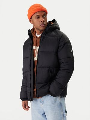 Kurtka męska na zimę casual Dc Shoes ze sklepu: MODIVO w kategorii: Kurtki męskie - zdjęcie WP-EBWP-BKLVO-LN0_0000305649140