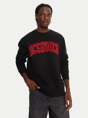 Bluza męska młodzieżowa Dc Shoes ze sklepu: MODIVO w kategorii: Bluzy męskie - zdjęcie WP-EBWP-BKLVO-LN0_0000305649430