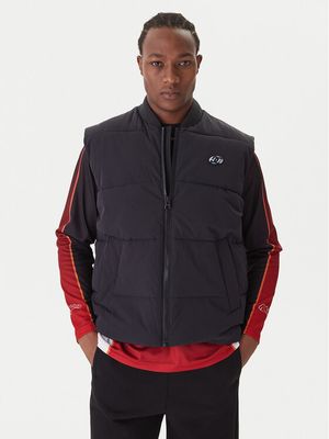 Kamizelka męska w sportowym stylu Dc Shoes ze sklepu: MODIVO w kategorii: Kamizelki męskie - zdjęcie WP-EBWP-BKLVO-LN0_0000305649621