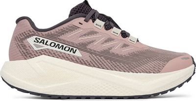 Buty sportowe damskie na wiosnę Salomon ze sklepu: MODIVO w kategorii: Buty sportowe damskie - zdjęcie WP-EBWP-BKLVO-LN0_0000305683755