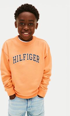 Bluza chłopięca na wiosnę Tommy Hilfiger ze sklepu: MODIVO w kategorii: Bluzy chłopięce - zdjęcie WP-EBWP-BKLVO-LN0_0000305749024