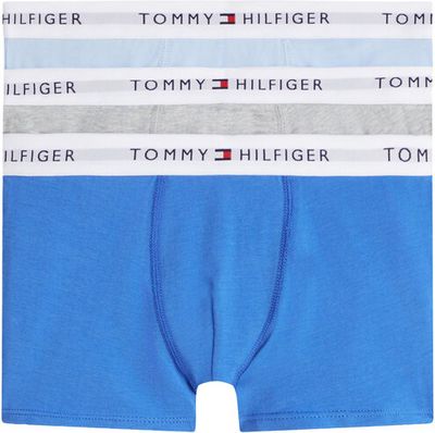 Majtki dziecięce na lato Tommy Hilfiger ze sklepu: MODIVO w kategorii: Majtki dziecięce - zdjęcie WP-EBWP-BKLVO-LN0_0000305751348