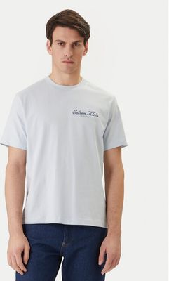 T-shirt męski młodzieżowy Calvin Klein Jeans ze sklepu: MODIVO w kategorii: T-shirty męskie - zdjęcie WP-EBWP-BKLVO-LN0_0000305754752