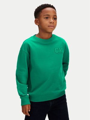 Bluza chłopięca wiosenna Calvin Klein ze sklepu: MODIVO w kategorii: Bluzy chłopięce - zdjęcie WP-EBWP-BKLVO-LN0_0000305756824