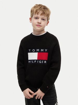 Sweter chłopięcy na jesień Tommy Hilfiger ze sklepu: MODIVO w kategorii: Swetry chłopięce - zdjęcie WP-EBWP-BKLVO-LN0_0000305947680