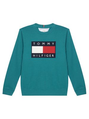 Bluza chłopięca na zimę Tommy Hilfiger ze sklepu: MODIVO w kategorii: Bluzy chłopięce - zdjęcie WP-EBWP-BKLVO-LN0_0000305947772