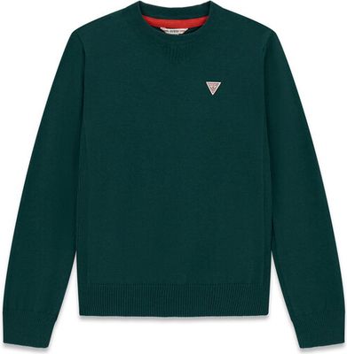 Sweter chłopięcy jesienny Guess ze sklepu: MODIVO w kategorii: Swetry chłopięce - zdjęcie WP-EBWP-BKLVO-LN0_0000306141360