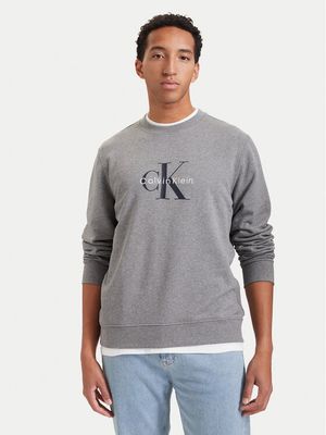 Bluza męska młodzieżowa na jesień Calvin Klein Jeans ze sklepu: MODIVO w kategorii: Bluzy męskie - zdjęcie WP-EBWP-BKLVO-LN0_0000306184183