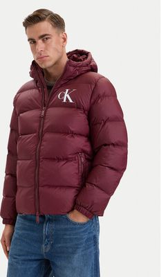 Kurtka męska zimowa Calvin Klein Jeans ze sklepu: MODIVO w kategorii: Kurtki męskie - zdjęcie WP-EBWP-BKLVO-LN0_0000306185814