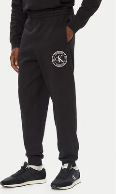 Spodnie męskie Calvin Klein Jeans ze sklepu: MODIVO w kategorii: Spodnie męskie - zdjęcie WP-EBWP-BKLVO-LN0_0000306186644