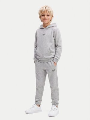 Dres chłopięcy jesienny na wiosnę Reebok ze sklepu: MODIVO w kategorii: Dresy chłopięce - zdjęcie WP-EBWP-BKLVO-LN0_0000306189041