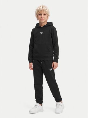 Dres chłopięcy jesienny Reebok ze sklepu: MODIVO w kategorii: Dresy chłopięce - zdjęcie WP-EBWP-BKLVO-LN0_0000306189058