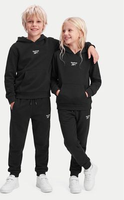 Dres chłopięcy jesienny Reebok ze sklepu: MODIVO w kategorii: Dresy chłopięce - zdjęcie WP-EBWP-BKLVO-LN0_0000306189058