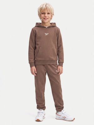 Dres chłopięcy jesienny Reebok ze sklepu: MODIVO w kategorii: Dresy chłopięce - zdjęcie WP-EBWP-BKLVO-LN0_0000306189065