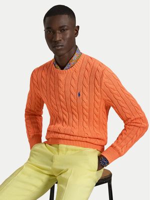 Sweter męski Polo Ralph Lauren ze sklepu: MODIVO w kategorii: Swetry męskie - zdjęcie WP-EBWP-BKLVO-LN0_0000306215764