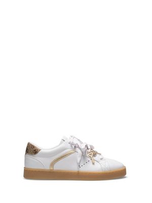 Buty sportowe damskie na wiosnę Guess ze sklepu: MODIVO w kategorii: Buty sportowe damskie - zdjęcie WP-EBWP-BKLVO-LN0_0000306271258
