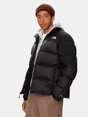 Kurtka męska The North Face ze sklepu: MODIVO w kategorii: Kurtki męskie - zdjęcie WP-EBWP-BKLVO-LN0_0000306311763
