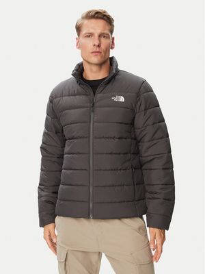 Kurtka męska na jesień The North Face ze sklepu: MODIVO w kategorii: Kurtki męskie - zdjęcie WP-EBWP-BKLVO-LN0_0000306311909