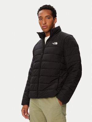 Kurtka męska na zimę na jesień The North Face ze sklepu: MODIVO w kategorii: Kurtki męskie - zdjęcie WP-EBWP-BKLVO-LN0_0000306311916