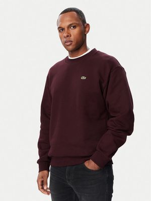 Bluza męska Lacoste ze sklepu: MODIVO w kategorii: Bluzy męskie - zdjęcie WP-EBWP-BKLVO-LN0_0000306355026