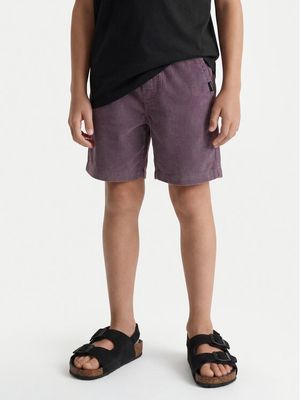 Spodenki męskie letnie Quiksilver ze sklepu: MODIVO w kategorii: Spodenki męskie - zdjęcie WP-EBWP-BKLVO-LN0_2230084445567