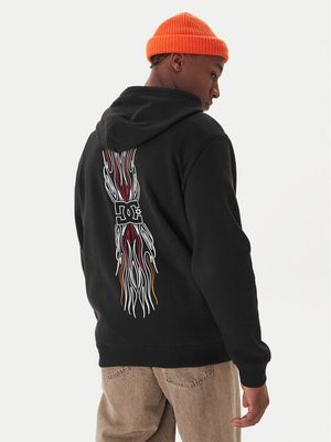 Bluza męska na jesień młodzieżowa Dc Shoes ze sklepu: MODIVO w kategorii: Bluzy męskie - zdjęcie WP-EBWP-BKLVO-LN0_2230096203834