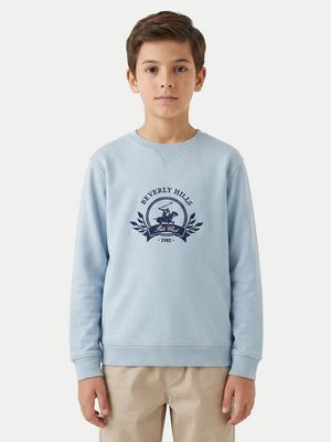 BEVERLY HILLS POLO CLUB - Bluza chłopięca na wiosnę ze sklepu: MODIVO w kategorii: Bluzy chłopięce - zdjęcie WP-EBWP-BKLVO-LN0_5906751963890