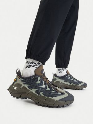 Buty sportowe męskie Reebok ze sklepu: MODIVO w kategorii: Buty sportowe męskie - zdjęcie WP-EBWP-BKLVO-LN0_5907964489795